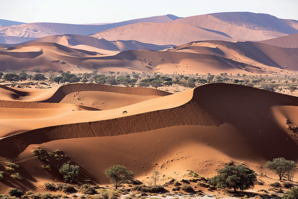 Описание и география пустыни Намиб
