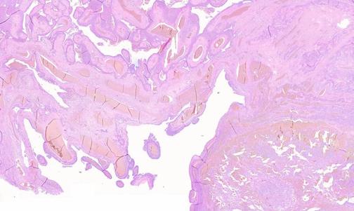 ММС Скан - система сканирования препаратов
