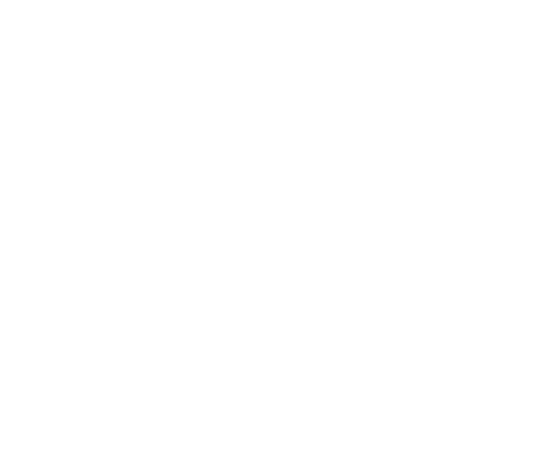 Лого Леонид Васильев