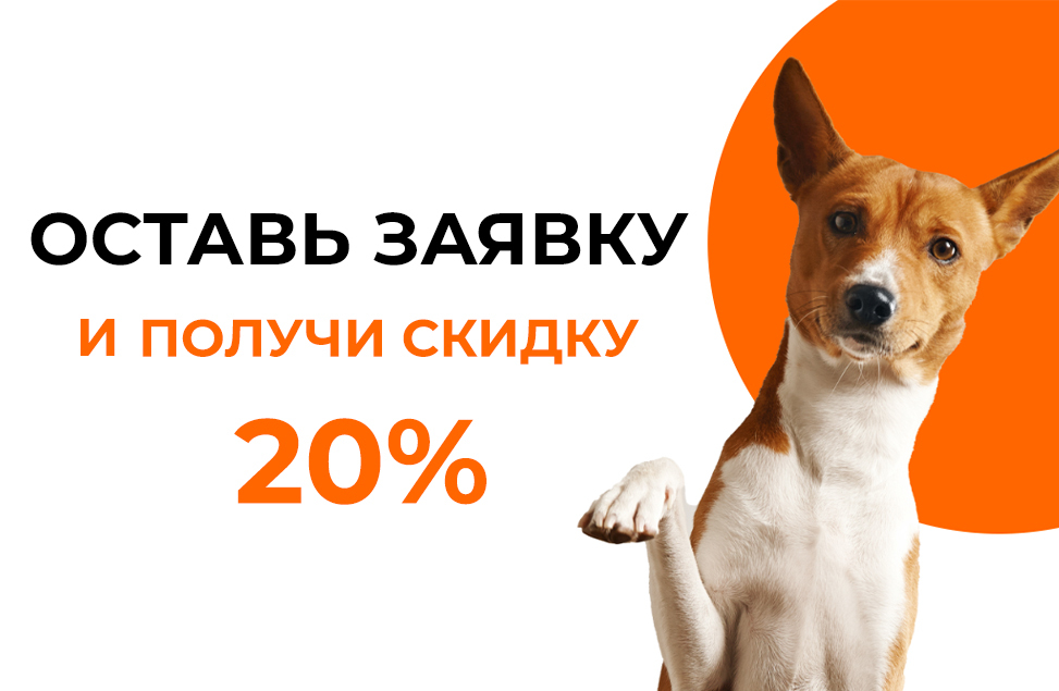 PetService | ПетСервис | Передержка для вашего питомца в Москве