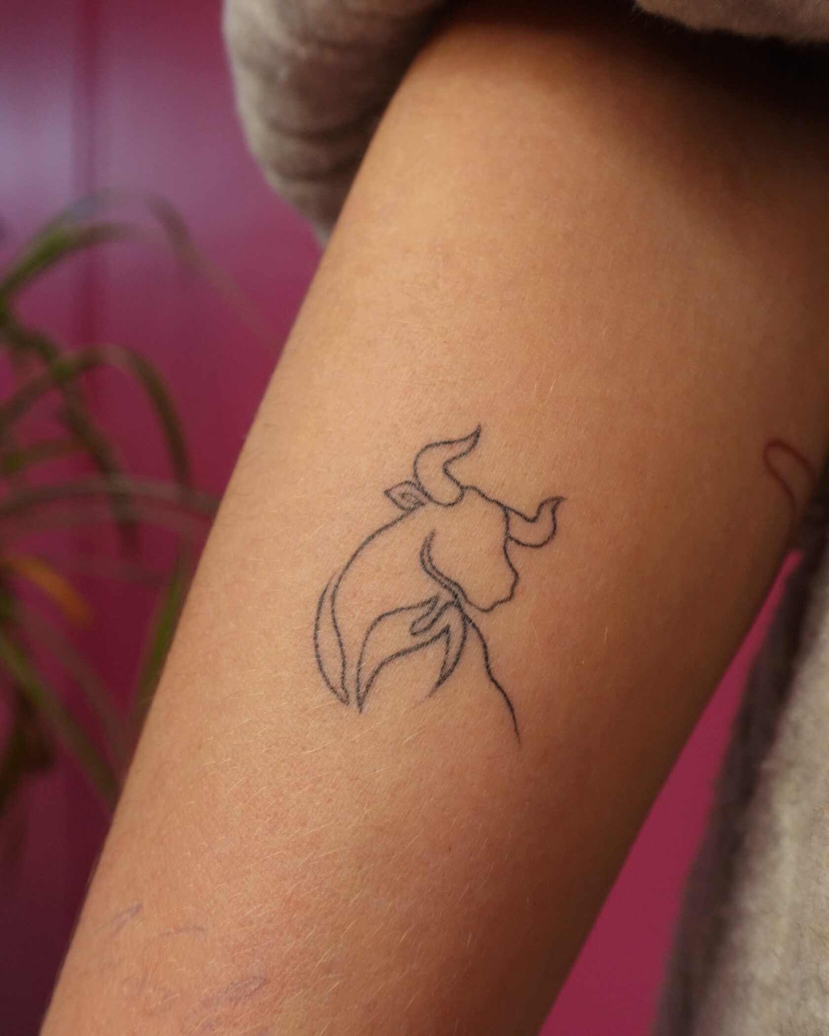 Зажившая мини-тату VivoTattoo — пример 2
