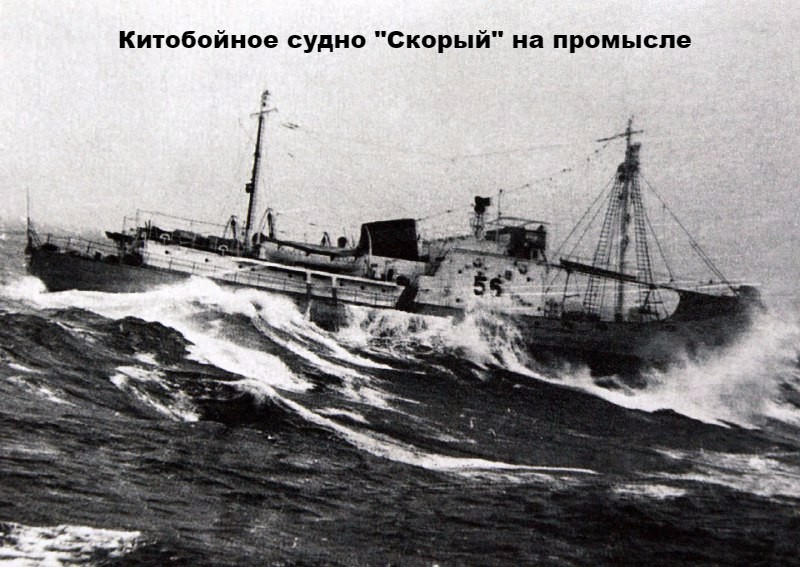 Китобои