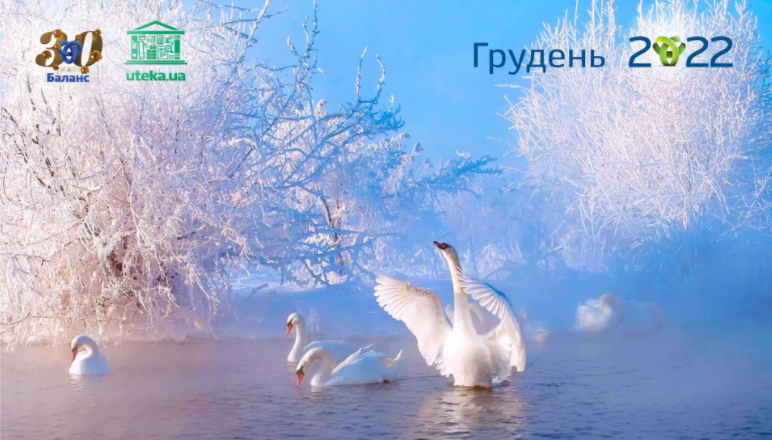  Вебінар "Оптимізація трудових відносин та воєнний стан (Закон № 2352)" з Іриною Гуюіною від Uteka.ua