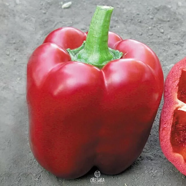 Seeds of Sweet pepper Granova (Capsicum) — 10 pcs