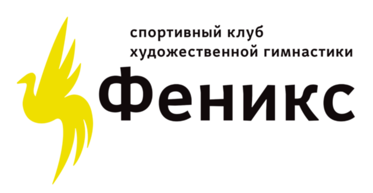 Спортивный клуб художественной гимнастики