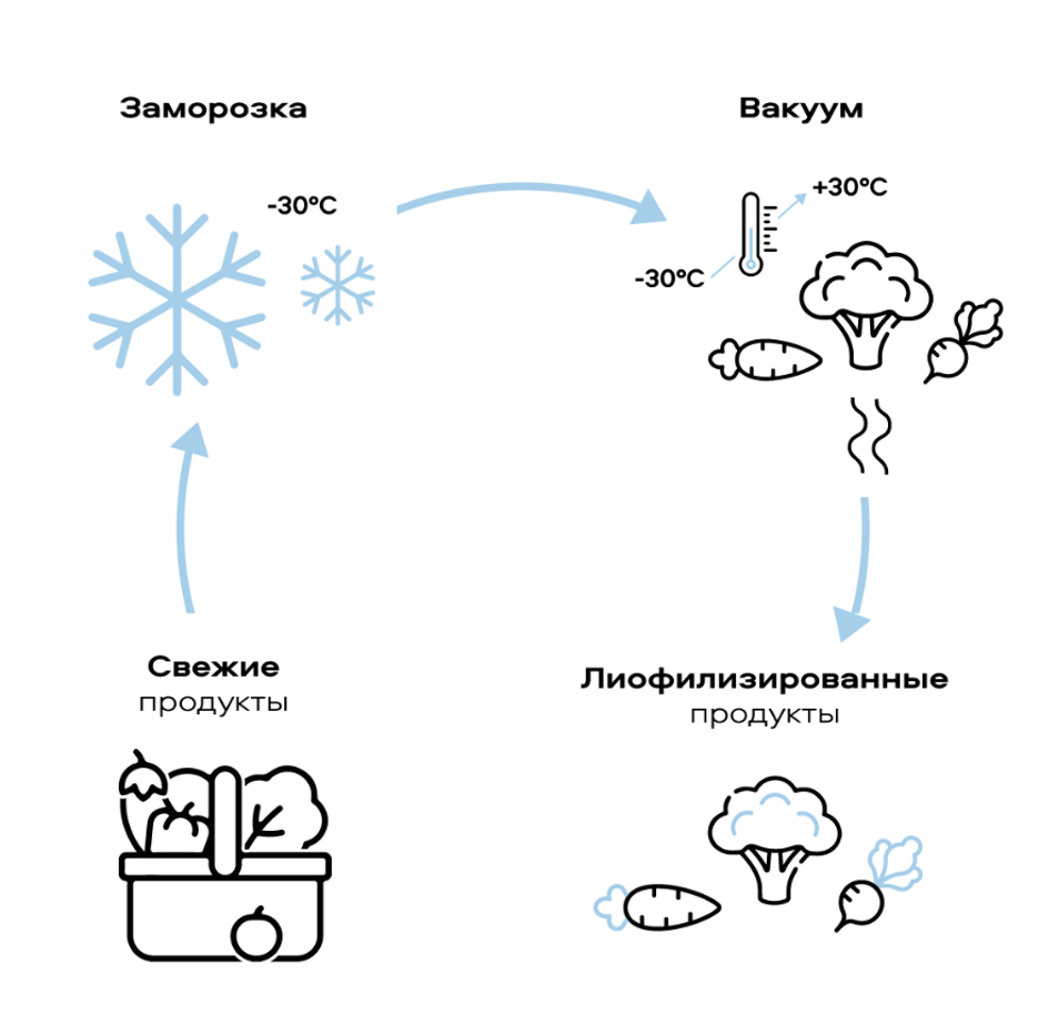 процесс лиофилизации, стадии лиофилизации