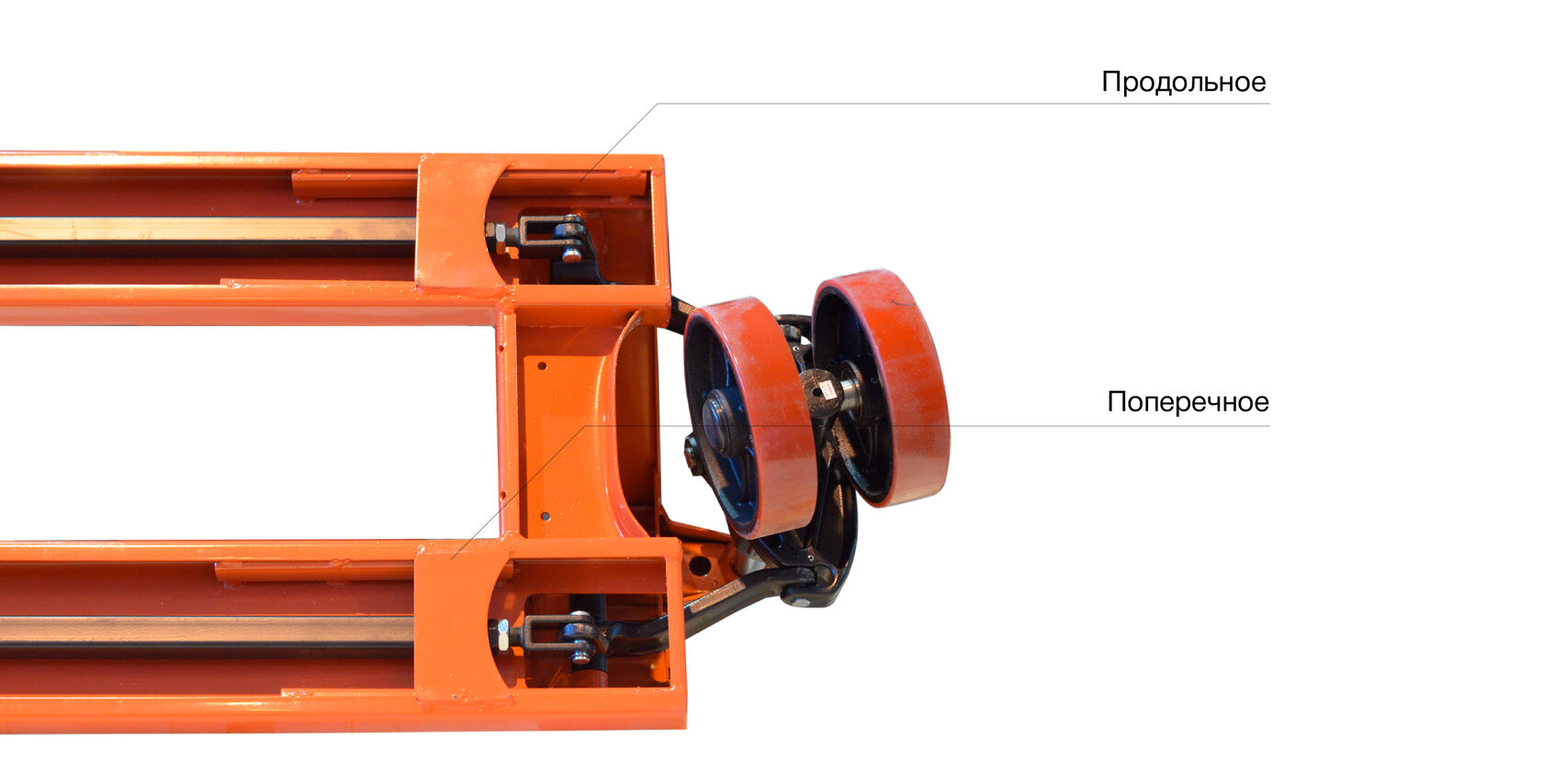 Как выбрать рохлю?