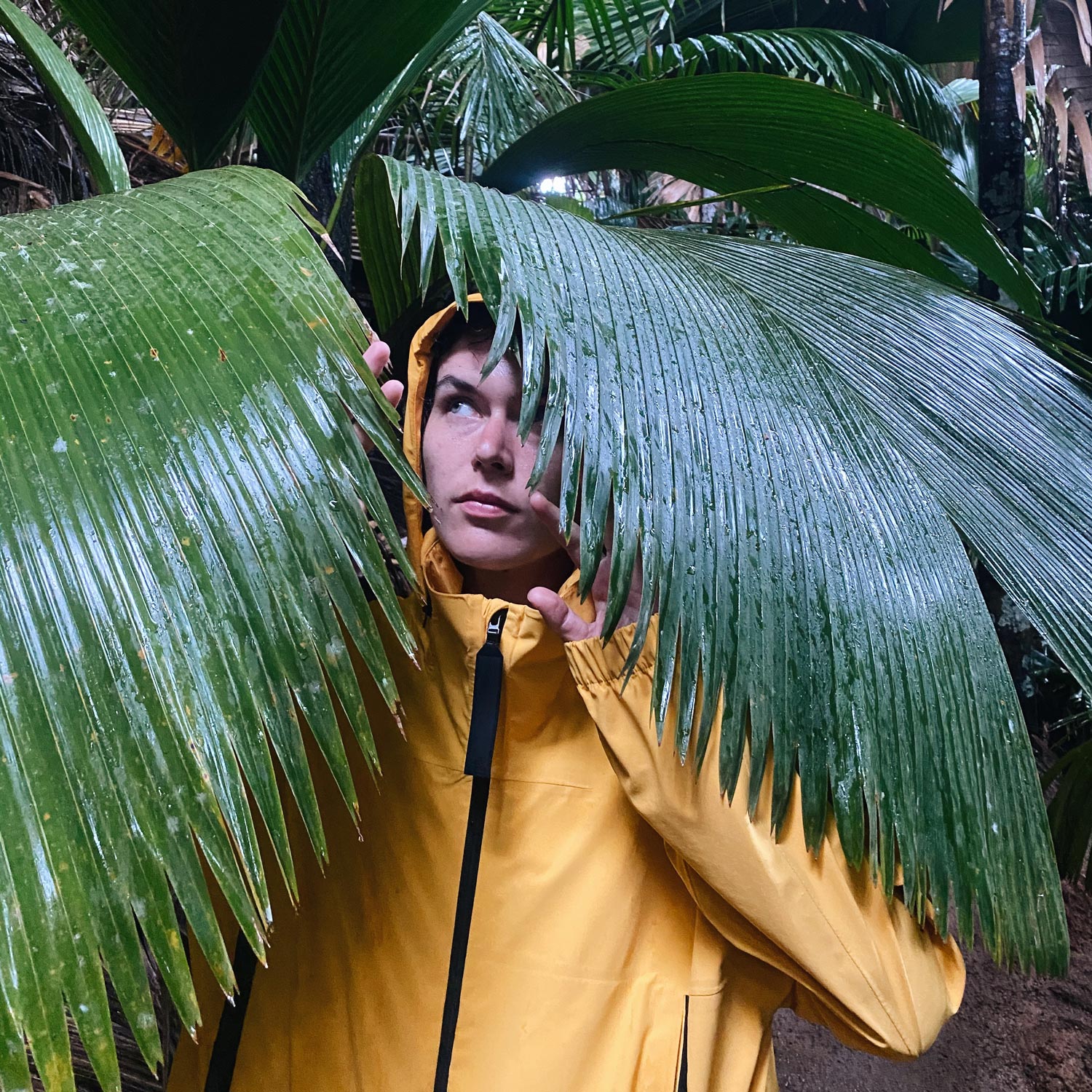 Экспедиция на яхте по островам Таиланда