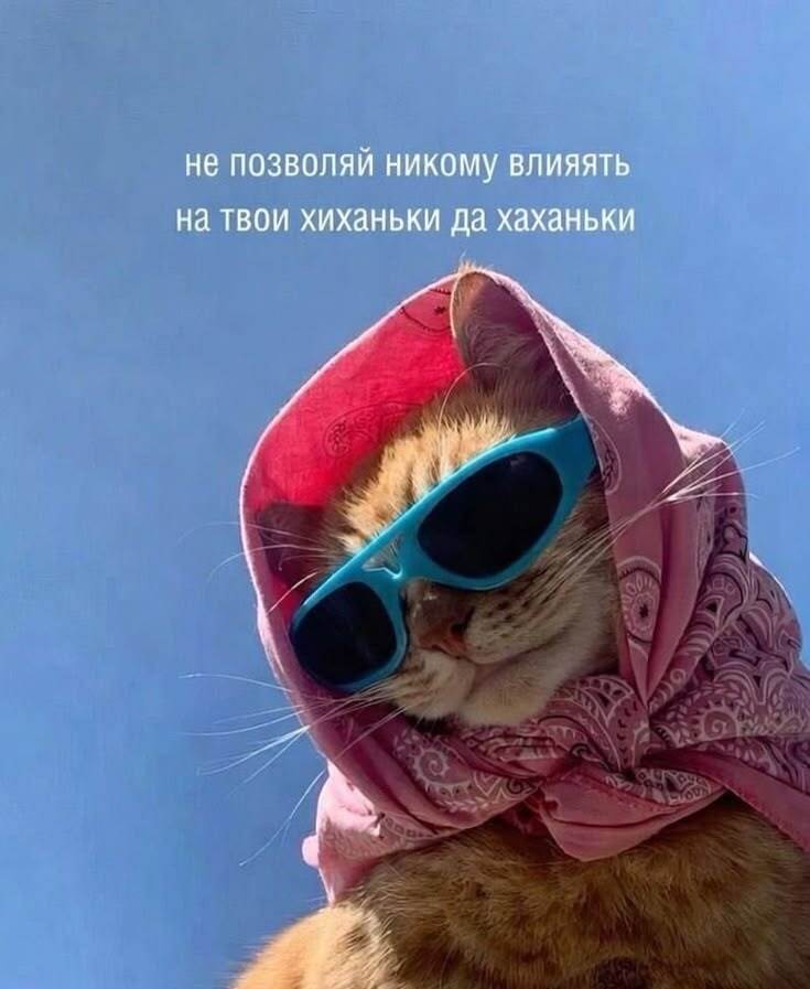 Кот в очках: не позволяй никому влиять на твои хиханьки да хаханьки