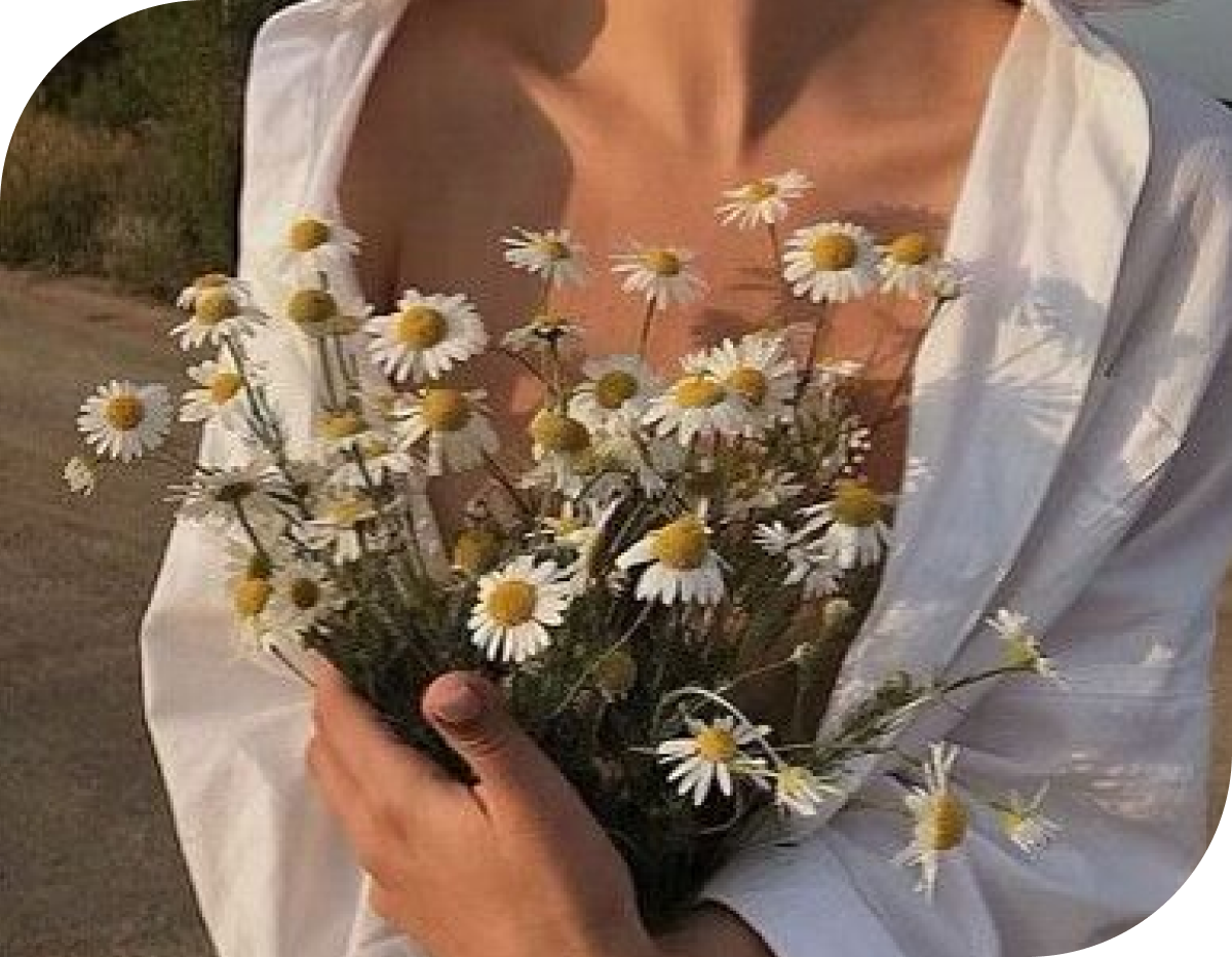 Эстетик 26. Цветы Эстетика. Цветок жизни.