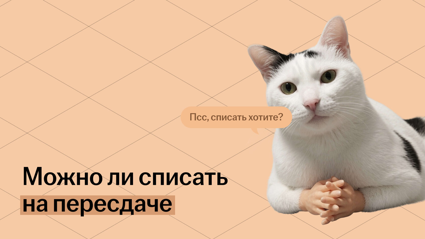 Как списать на пересдаче ОГЭ или ЕГЭ?
