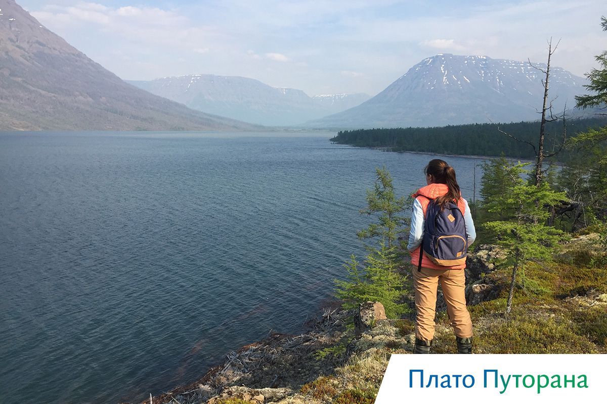 панорама плато путорана