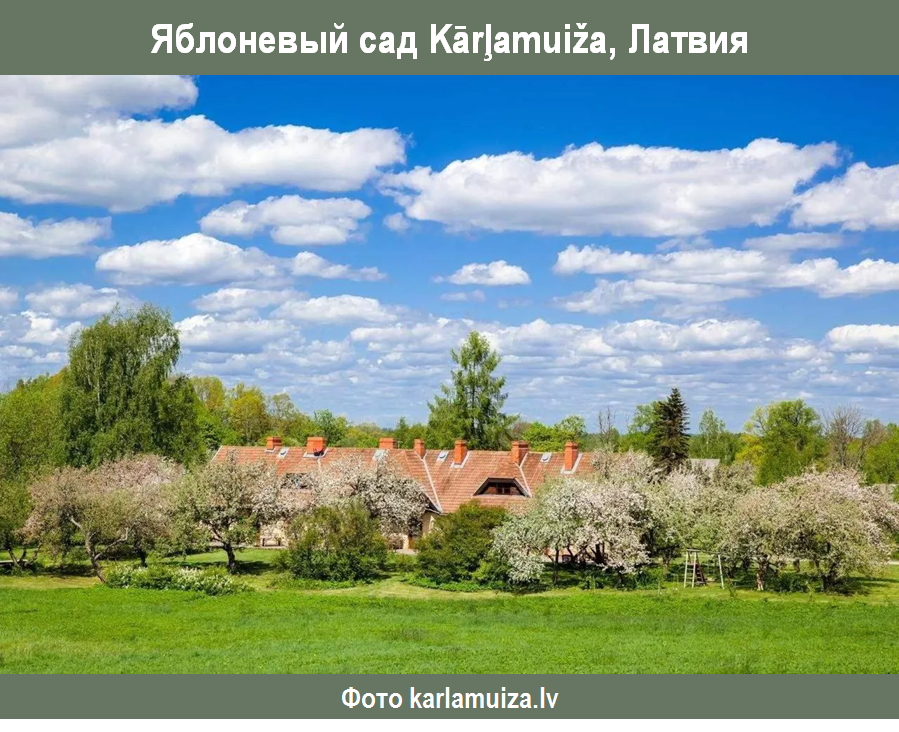 https://www.karlamuiza.lv/ru/okruga/old-apple-orchard.html