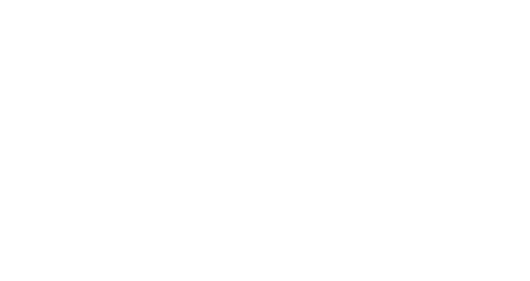 Зимний музей Ф.Е.И