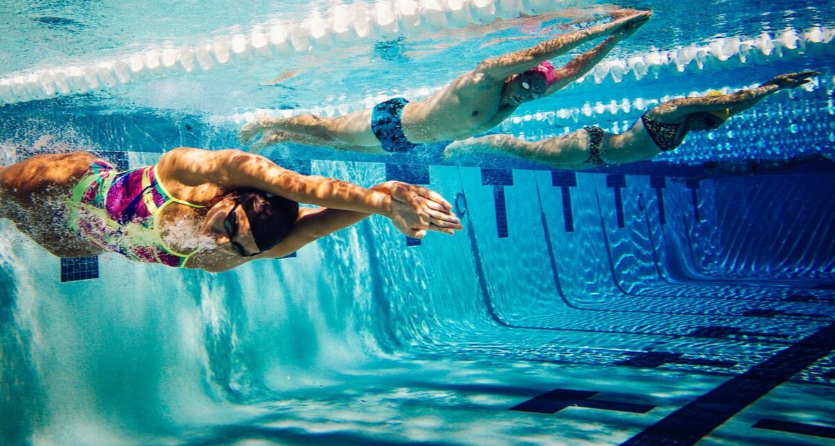Swimming Lessons For Adults Tampa, FL We Bring Results Fast Swim