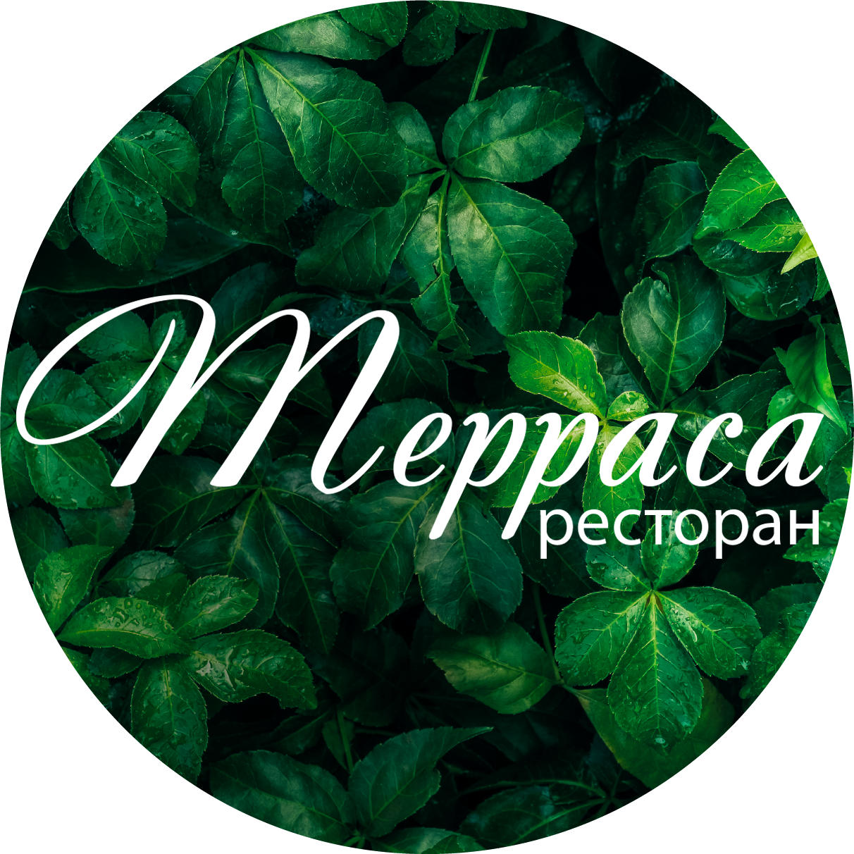 Ресторан Терраса