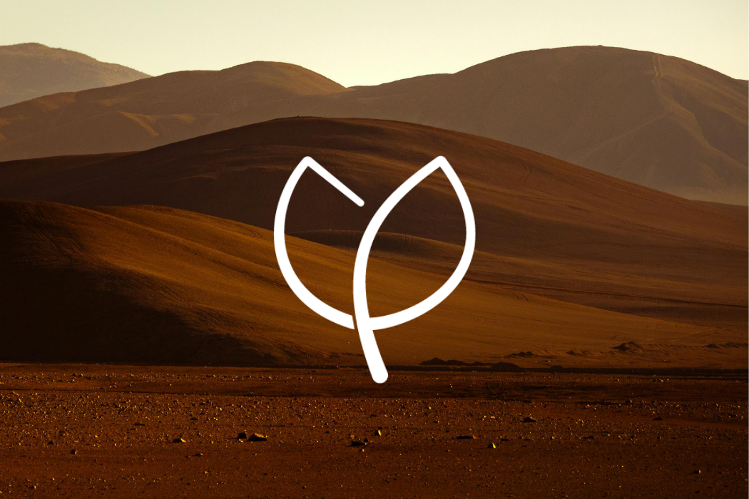 Minimalist leaf symbol by Leragraphics placed over a warm desert landscape, illustrating storytelling through design.