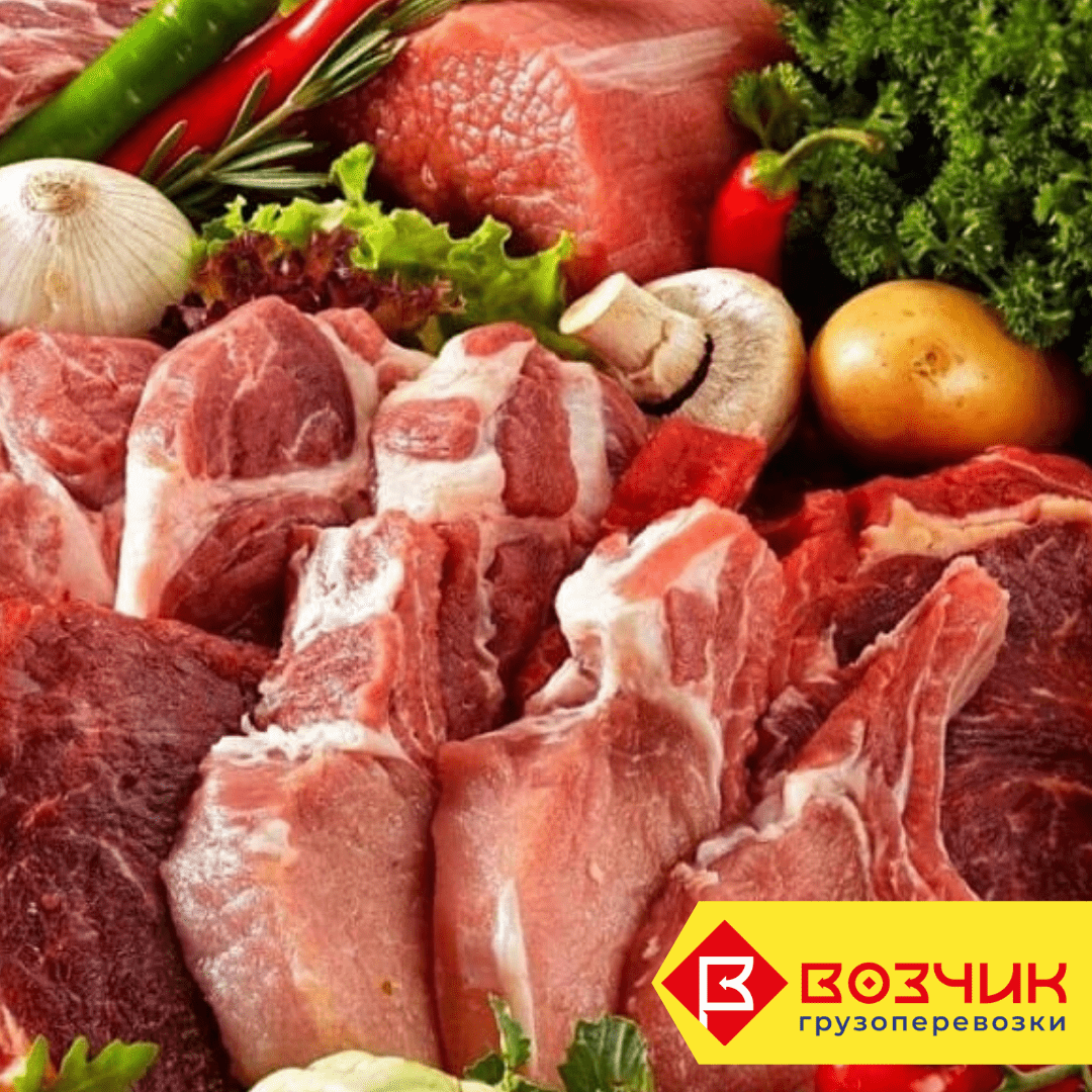 охлажденный товар. шкаф шоковой заморозки abat шок-10-1/1. заморозить губки. хранение пищевых продуктов. охлаждаемая камера полуфабрикатов.