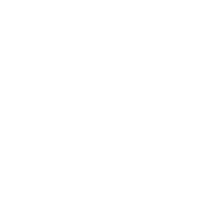 website icon