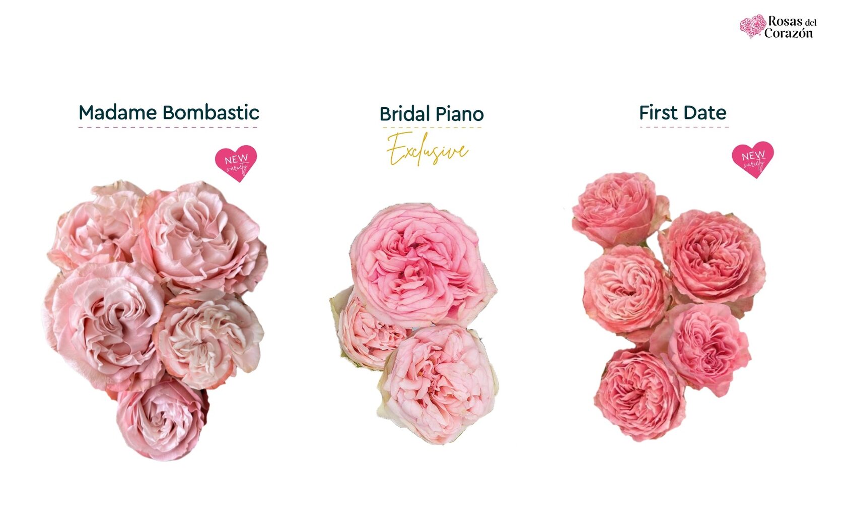 Madame Bombastic, Bridal Piano, First Date