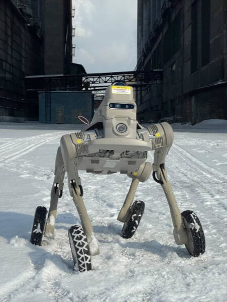 Студенты программируют робота-собаку Inchbot L1-W EDU через SDK на мастер-классе