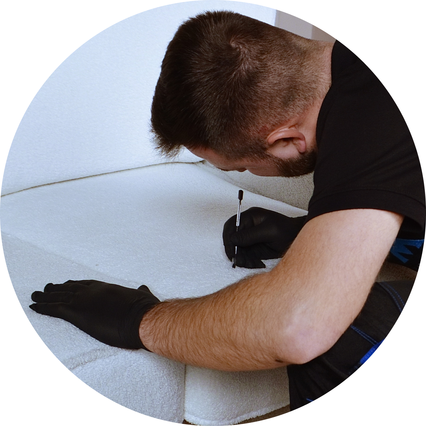 Лев с химией для ткани Богородск и Павлово