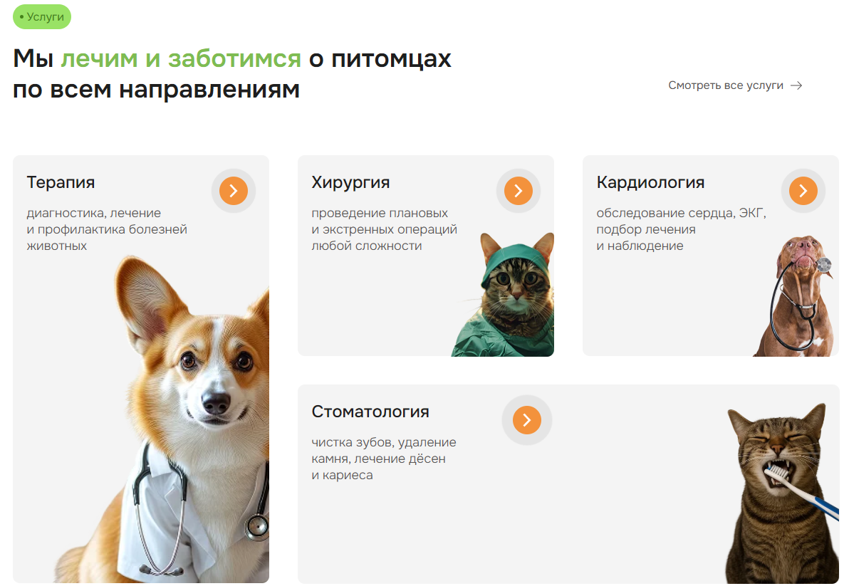 Дизайн сайта ветеринарной клиники