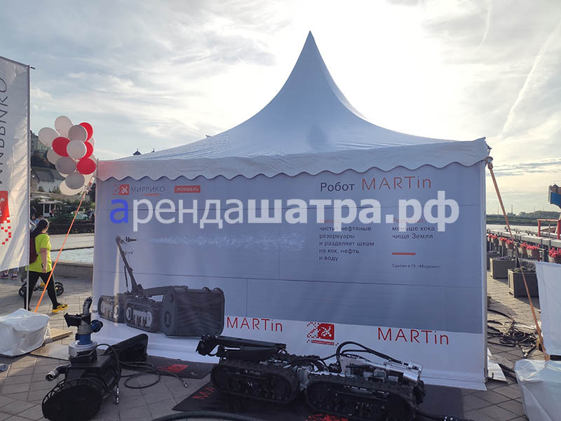презентация робота MARTin в Казани, фото&nbsp;2