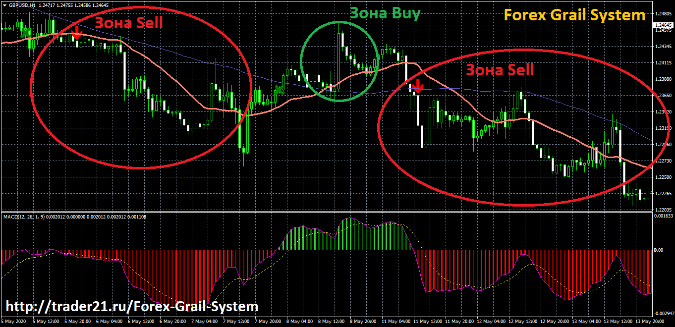 The grail of forex trading copytrade forex converter