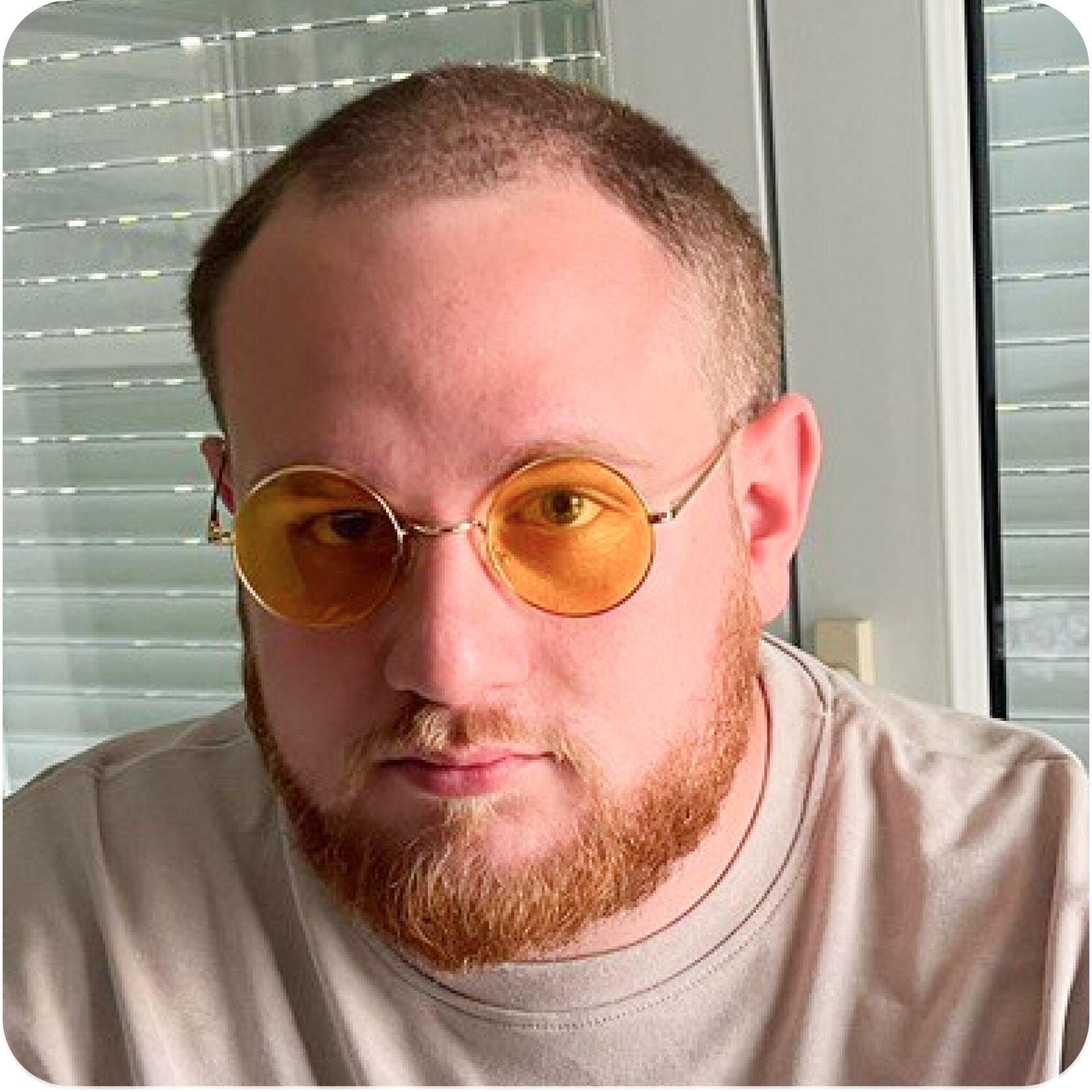 Котик мем. Хочу плотного. Хочу плотного. Дай скидку мем. Хорошо покушать картинки.