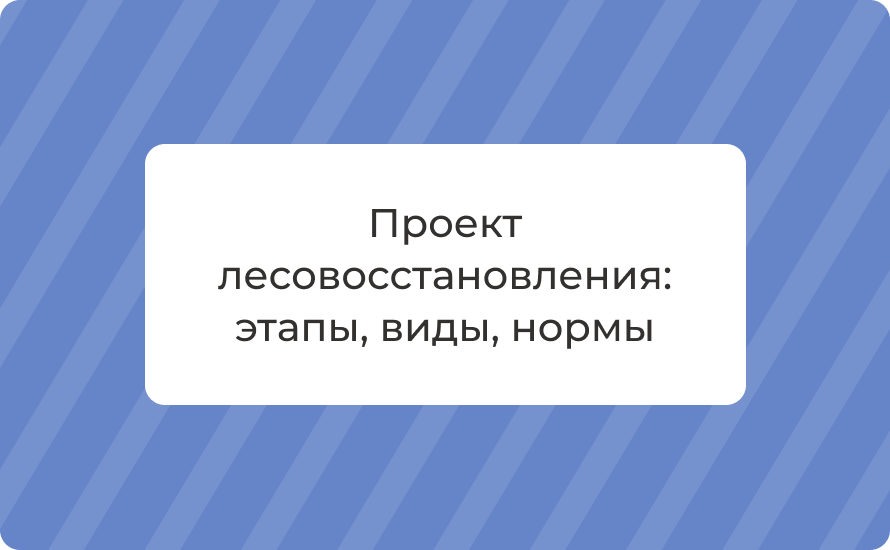 Проект лесовосстановления: этапы, виды и ключевые нормы