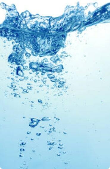 Купить живую хлореллу на кремниевой биосреде в интернет магазине ...