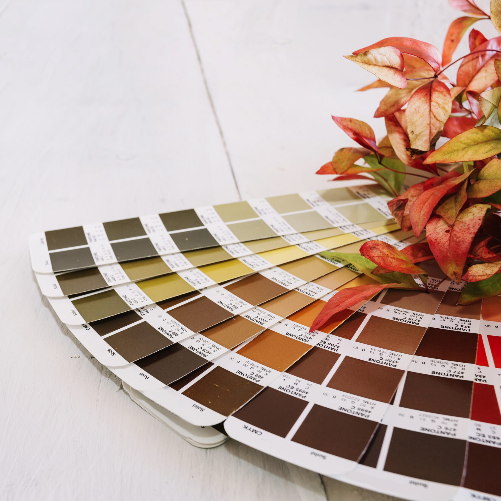 Современная кухня в Тюмени 2025: палитра теплых натуральных оттенков