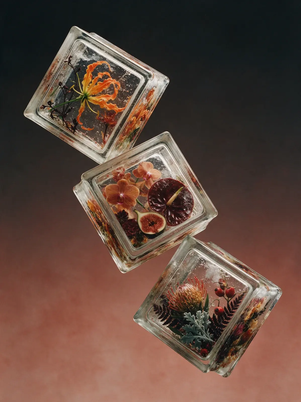 Глориоза и антуриумы