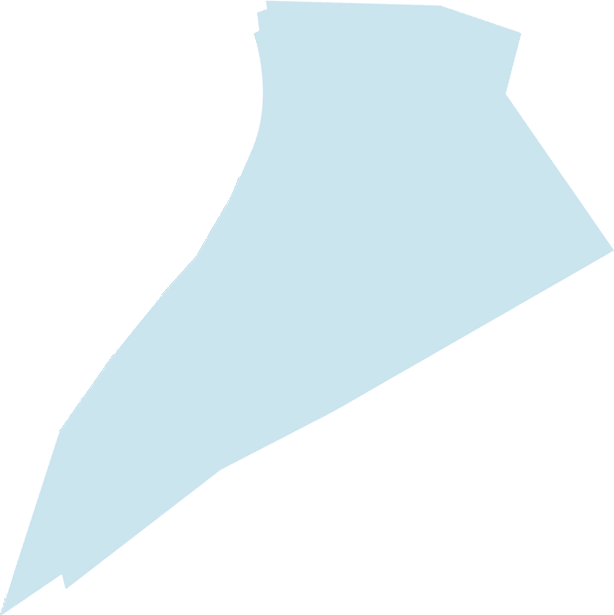 Новая жизнь Започаинья