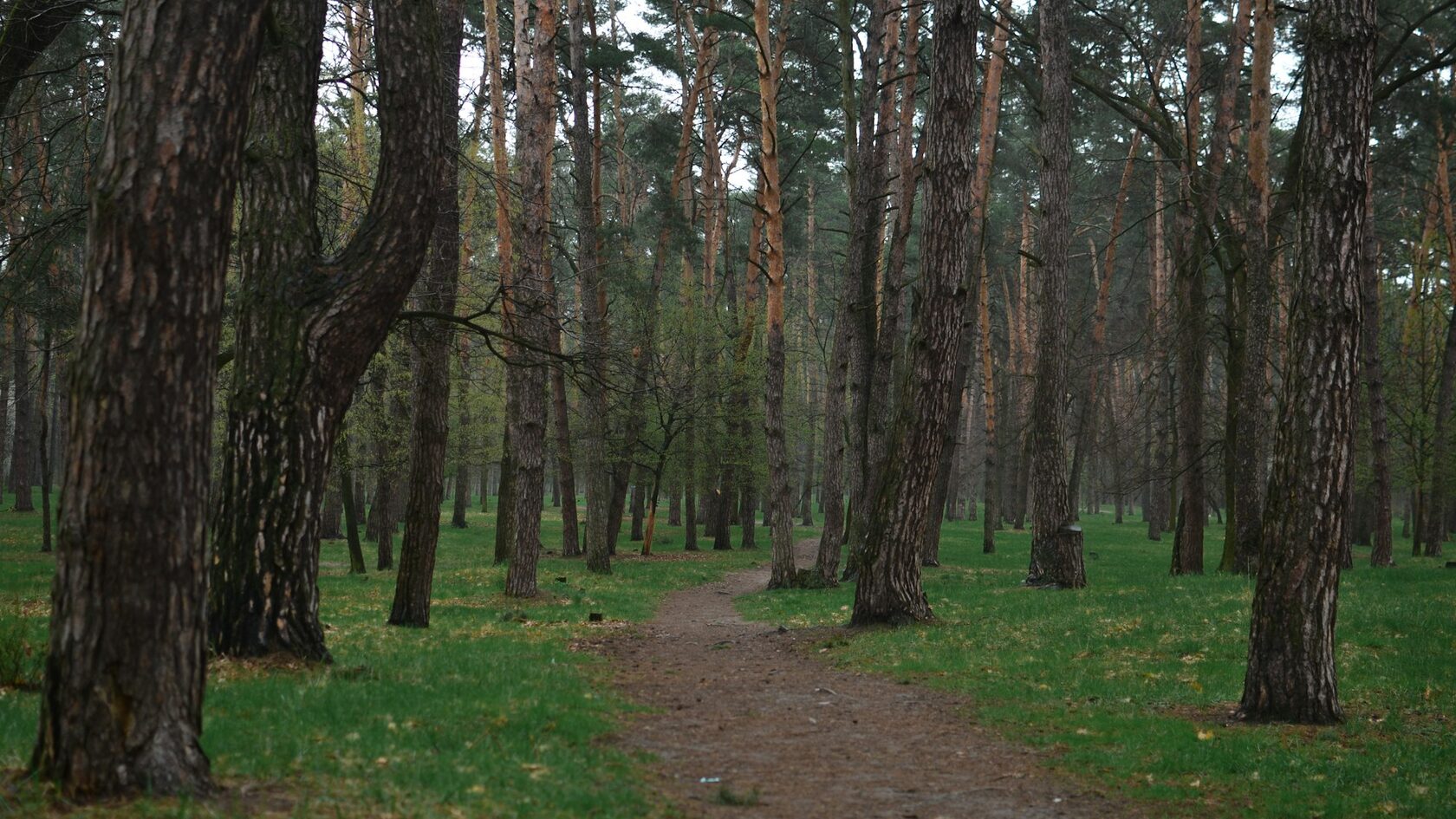 В центре Кисловодска