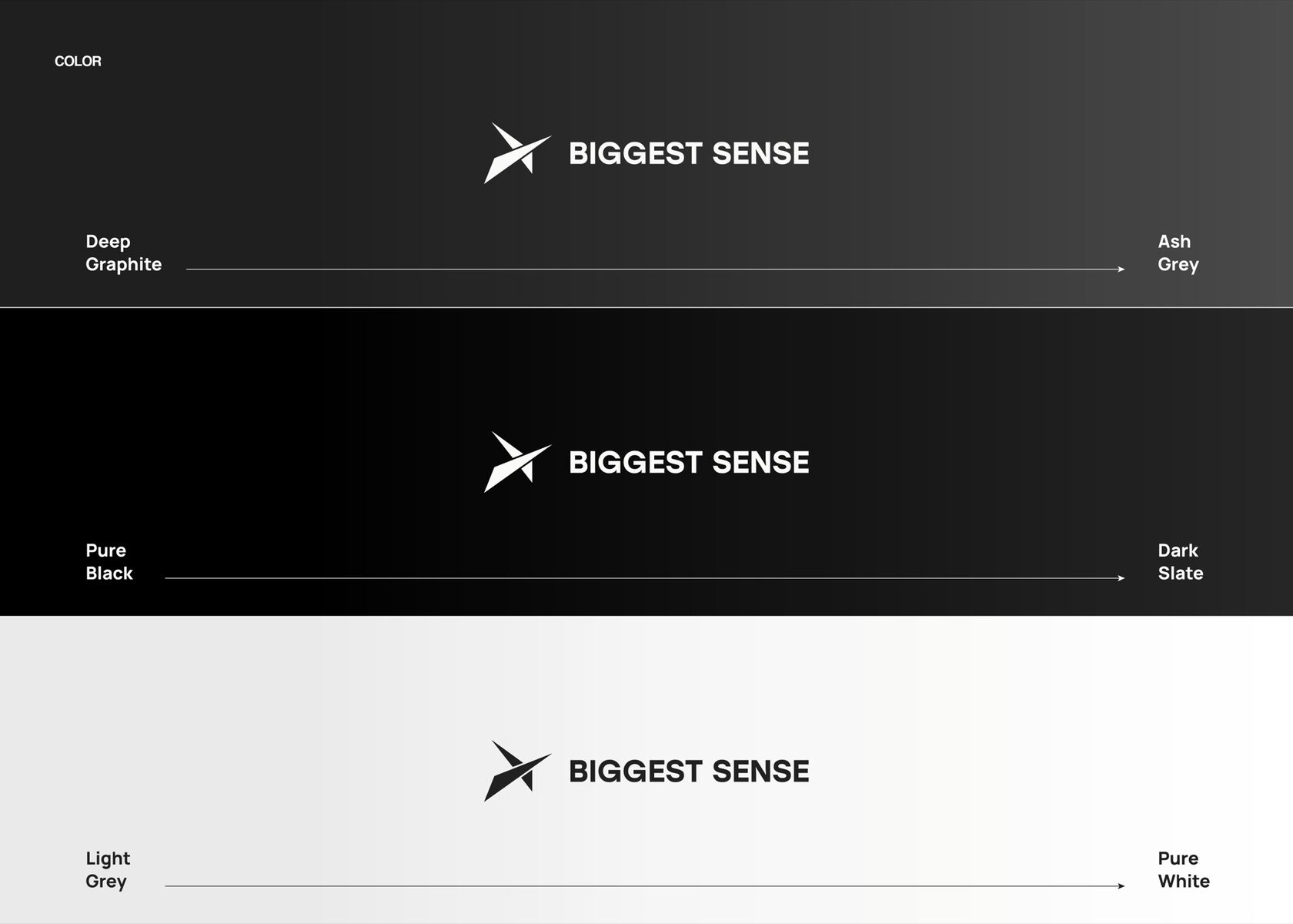 Система логотипа Biggest Sense