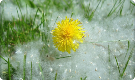Все виды москитных сеток в Томске в компании БизнесОкна, ремонт, изготовление, установка.