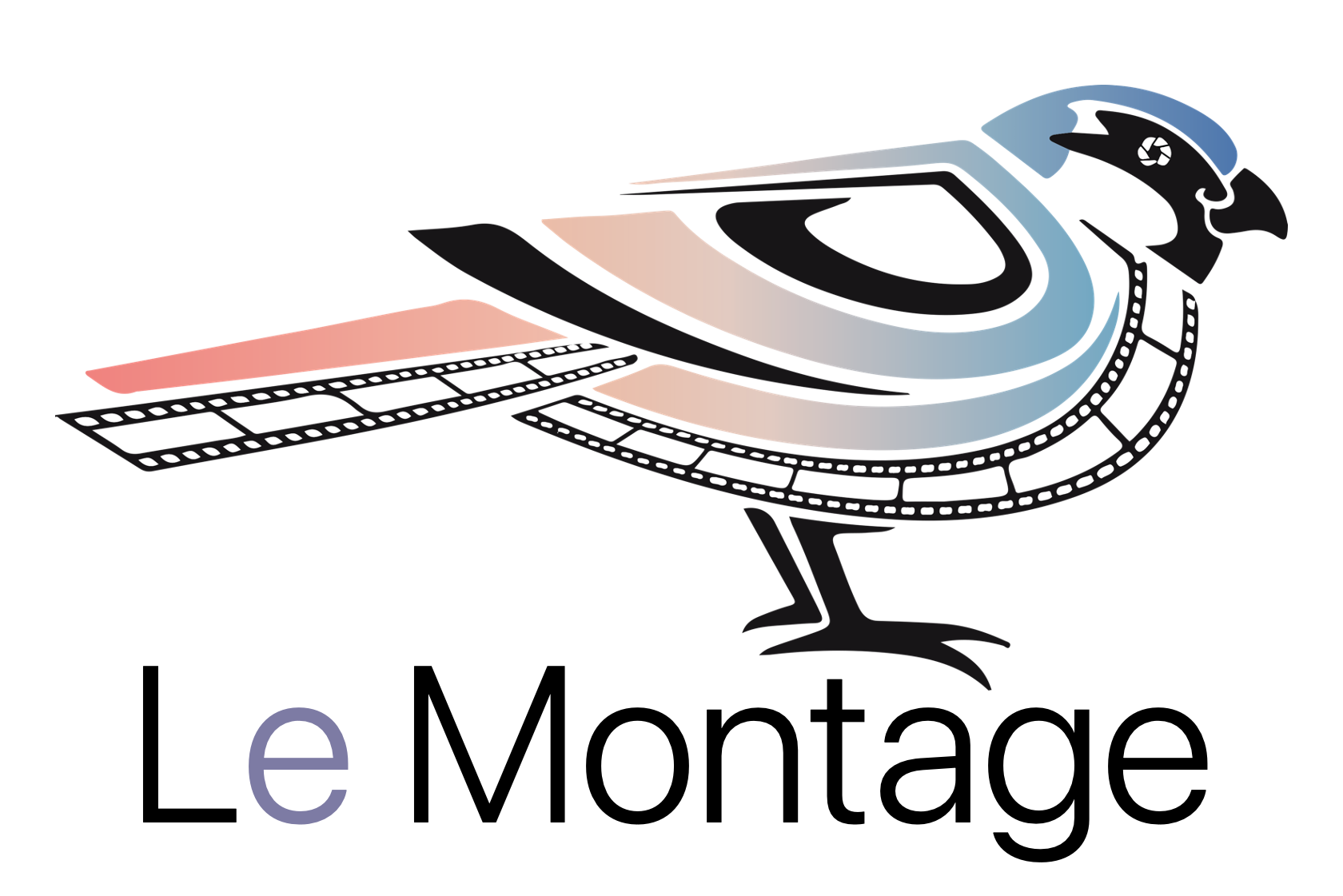 Video Agency Le Montage About us