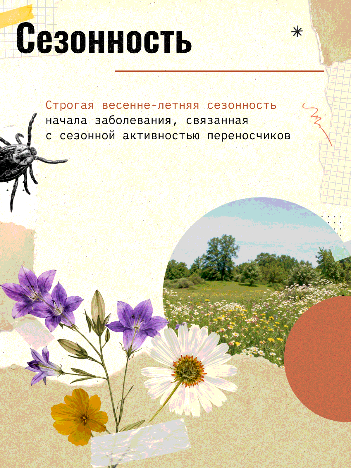 Карточка 4