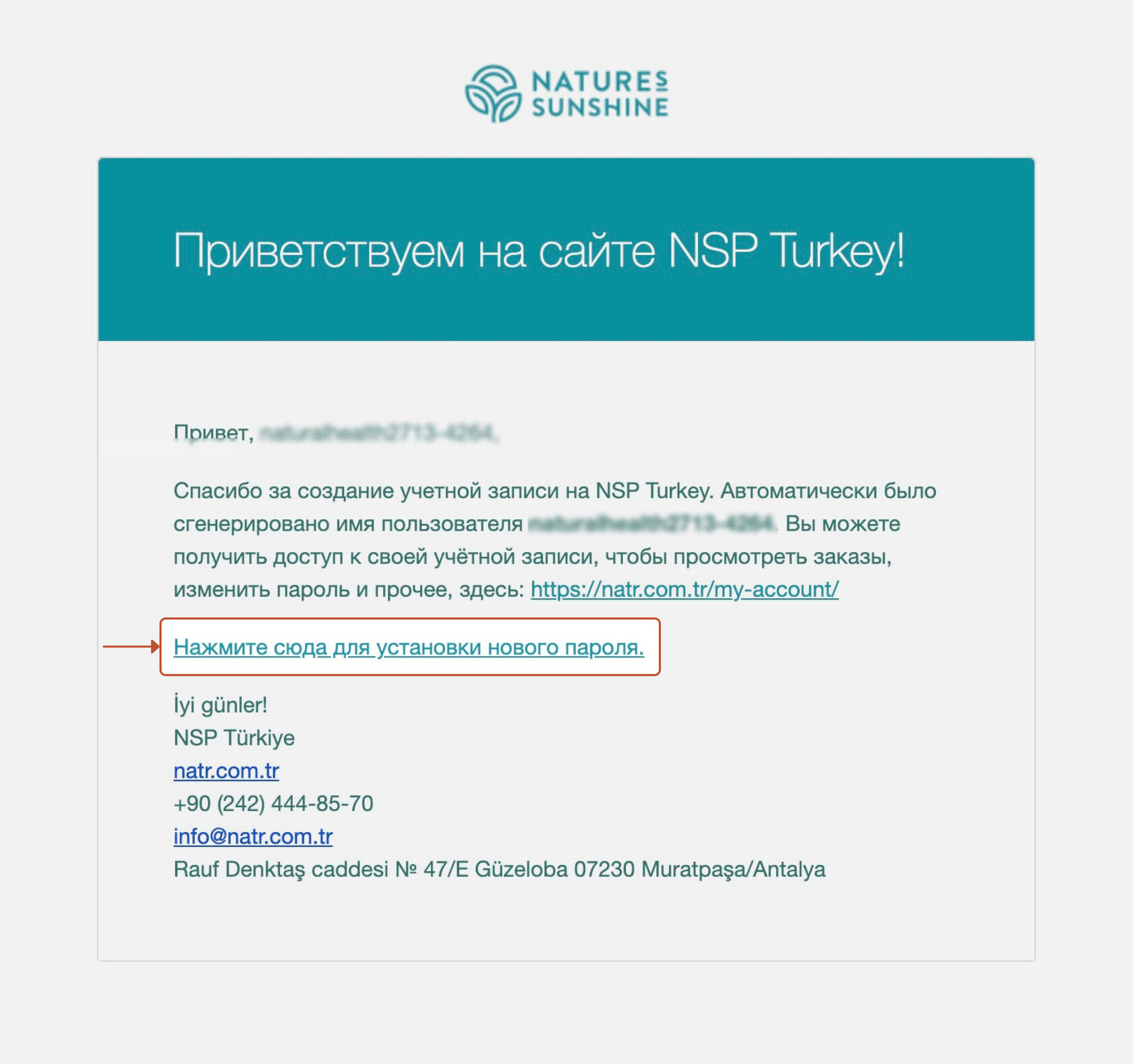 ustanovka-novogo-parolya-na-sajte-nsp-v-turcii-s-kompyutera