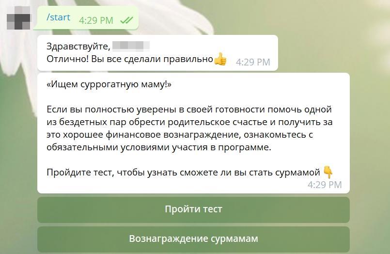 Приветственное сообщение. Приветственное сообщение для бота. Приветственное письмо в боте. Чат бот приветственное сообщение.