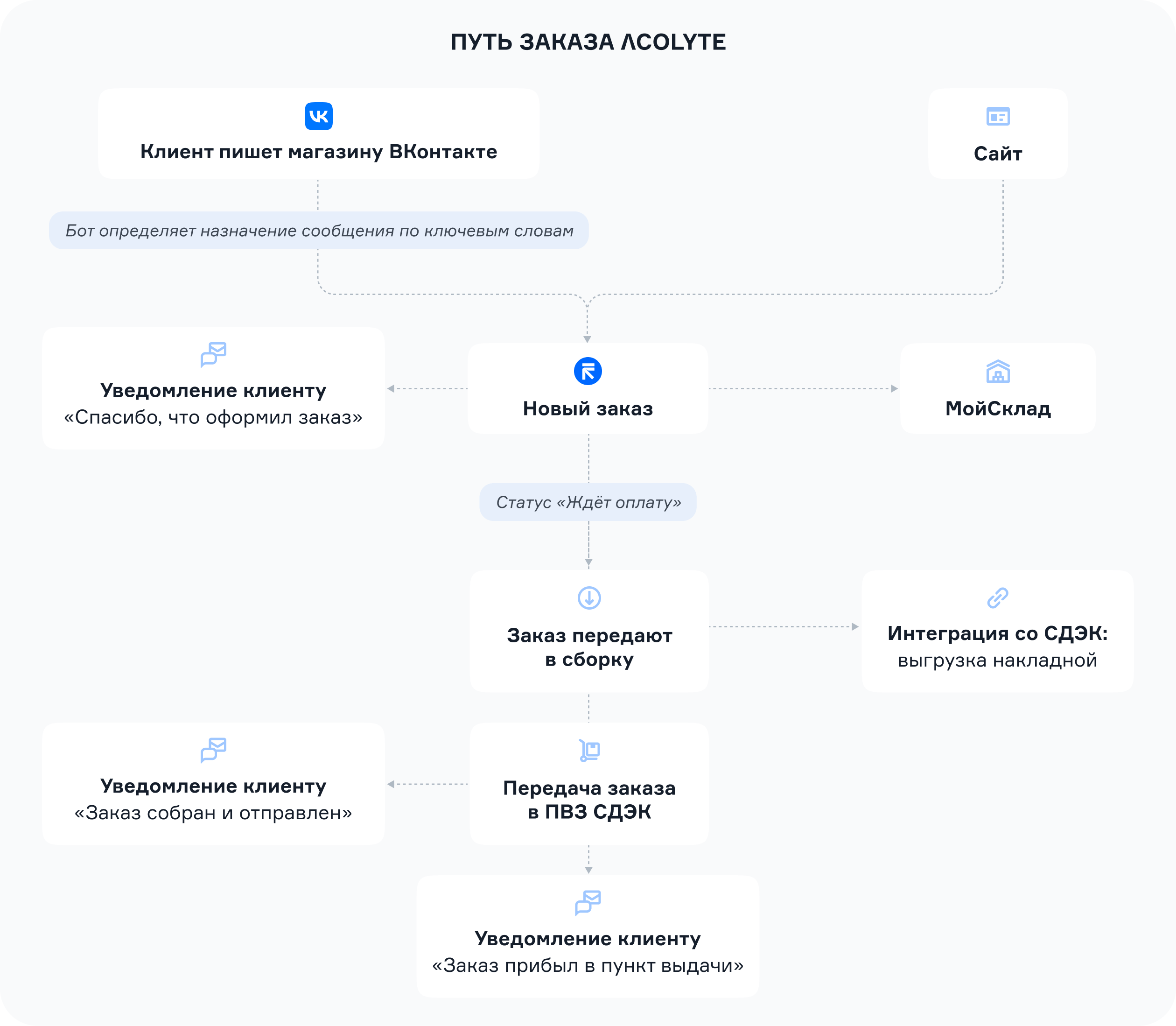 Путь заказа в ΛCOLYTE