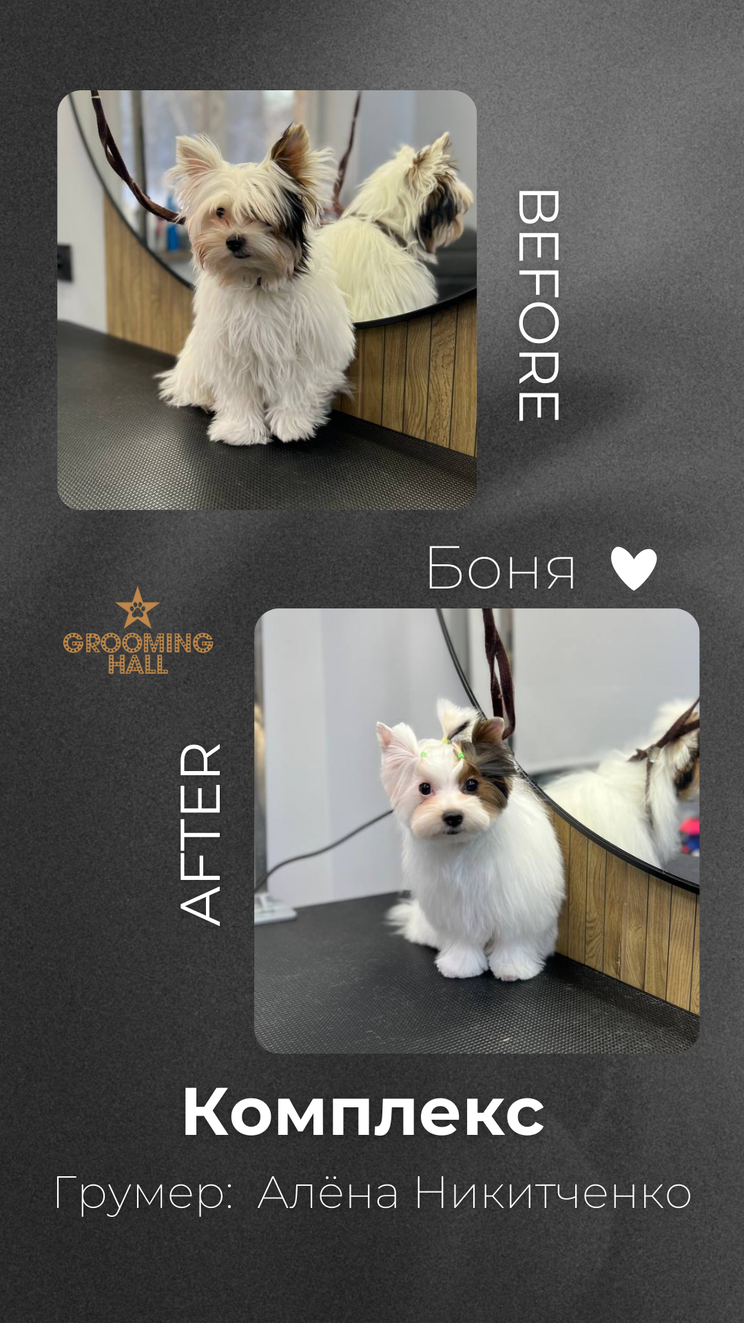 Grooming Hall | Груминг-салон для ваших питомцев на Полежаевской