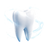 tooth