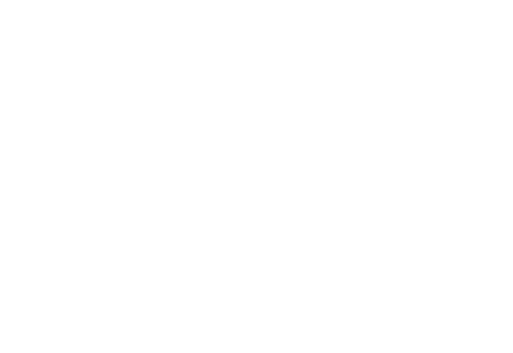 ORION Logo