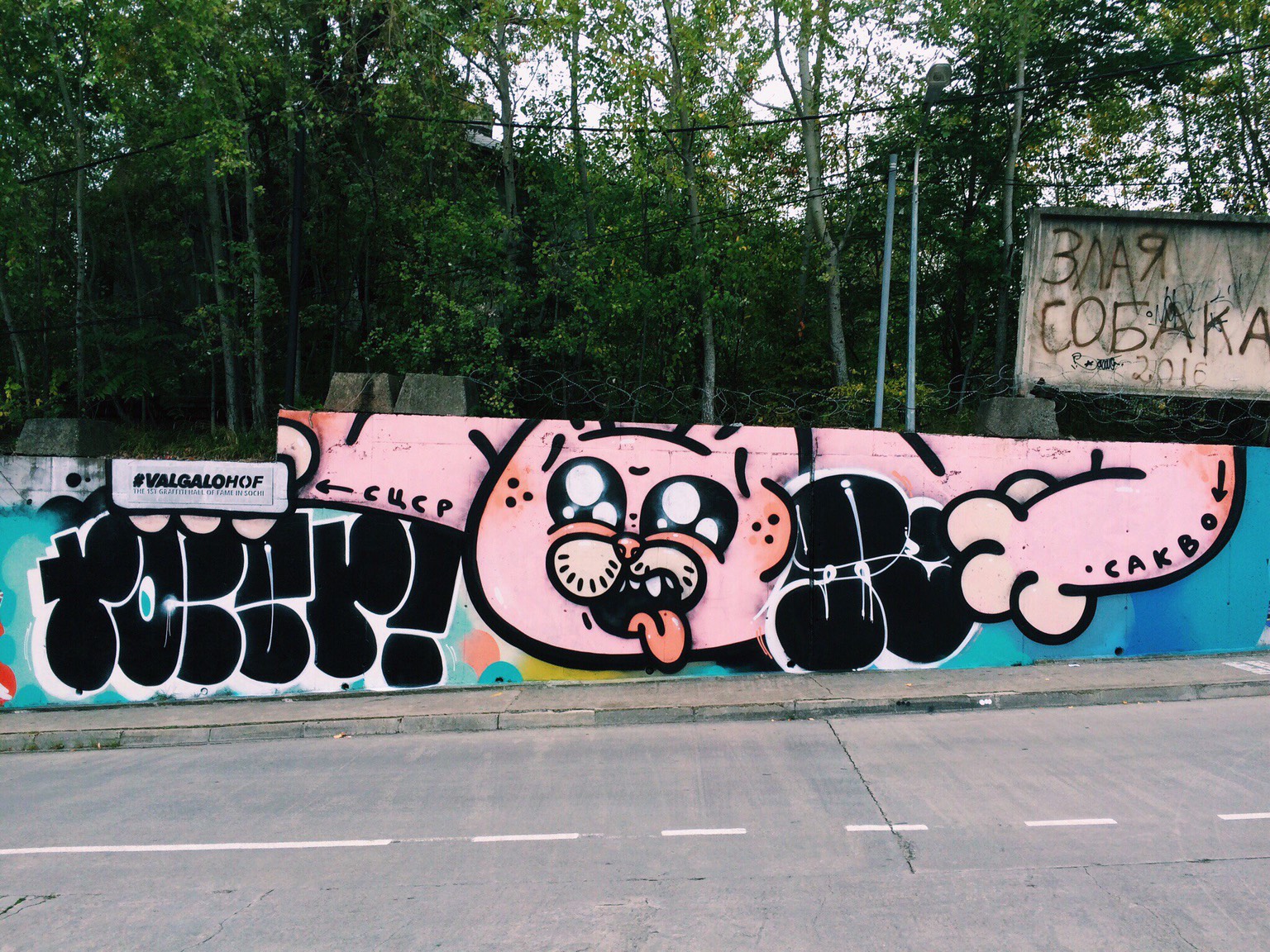 SOSD граффити Сочи