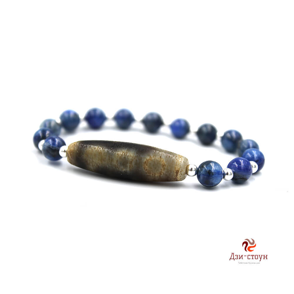 5 глазая Дзи