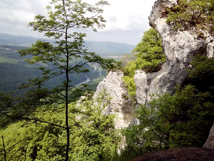 Каменномостский адыгея экскурсии. Гора Батарейная Каменномостский. Гора батарея Каменномостский. Батарея Адыгея Каменномостский. Благодать Адыгея.