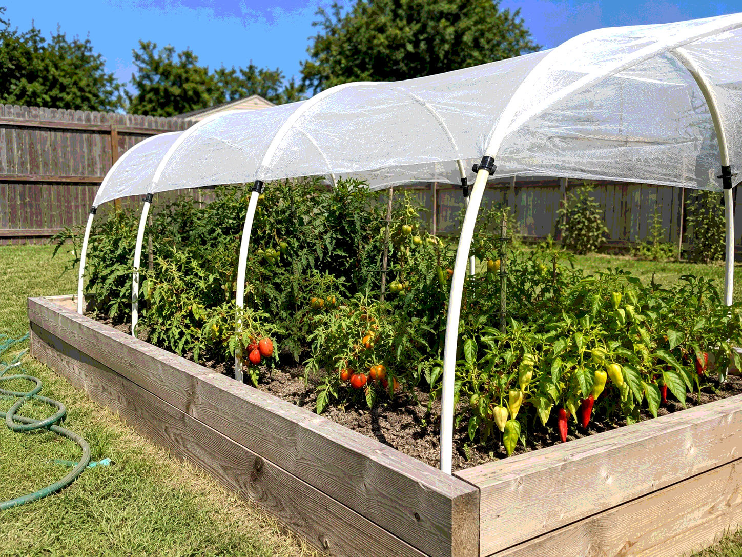 Shade cloth protecting vegetable plants in a heat wave over a backyard raised bed